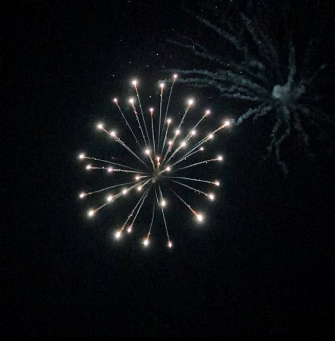 The 4th of July and Horses